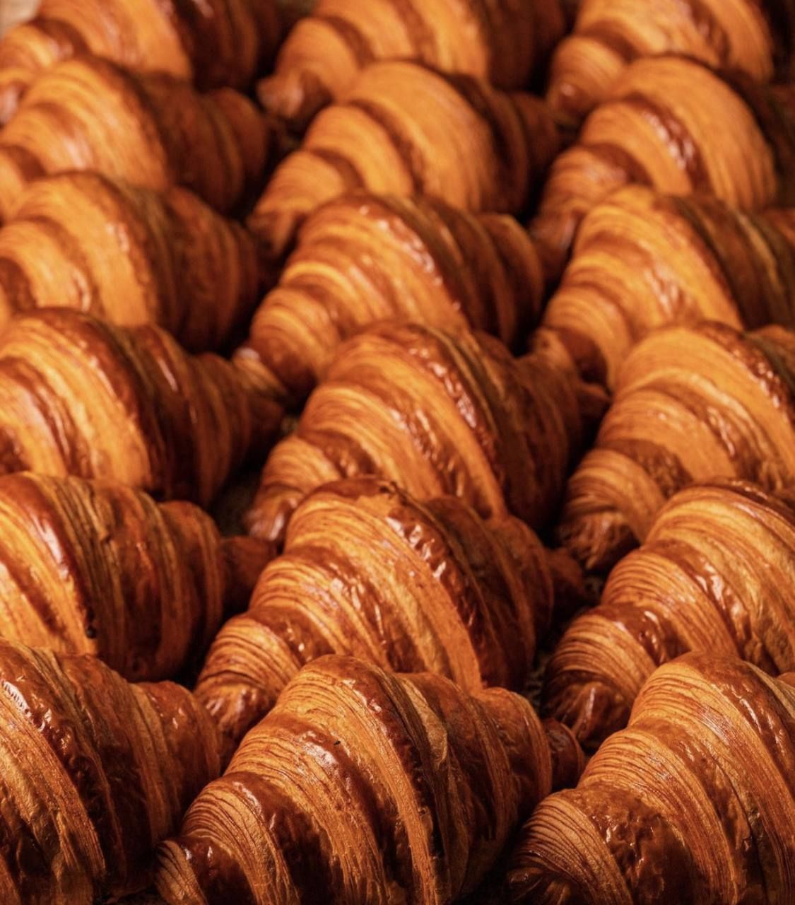 Bakehouse preview